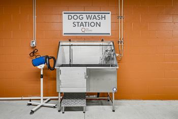 Dog wash station